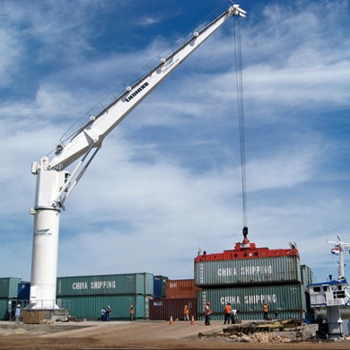 Liebherr FCC 280 Fixed Cargo Cranes