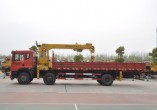 SHENGYUAN 12 tons lorry crane