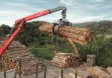 PALFINGERC80L Forestry & Scrap Cranes