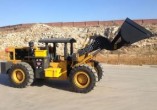 TKING S2 Ton Explosion Proof Loader