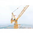 Xcmg Tower Crane Manufactures Xgl300-20s 60m Jcb Length 20 Ton Luffing Tower Crane For Sale