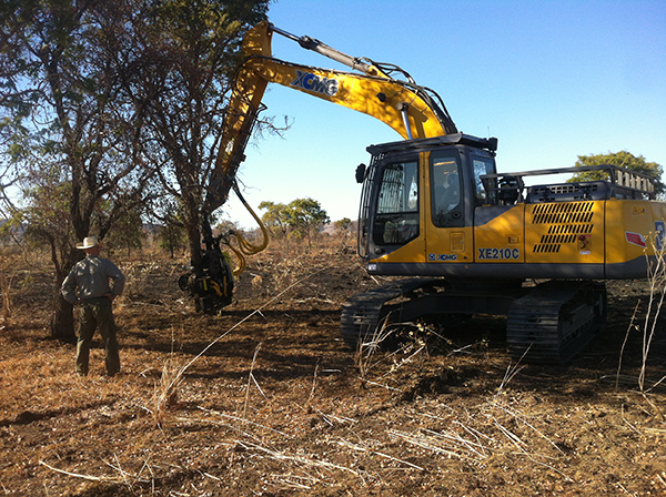 XCMG Forestry Excavators Put into Use in Australia