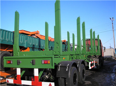 TONGYA AUTO timber/woods transport semi trailer  Semi-remorque