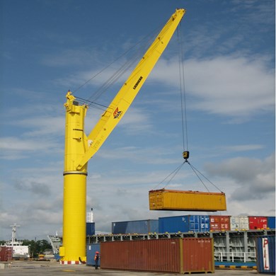 Liebherr FCC 230R Fixed Cargo Cranes