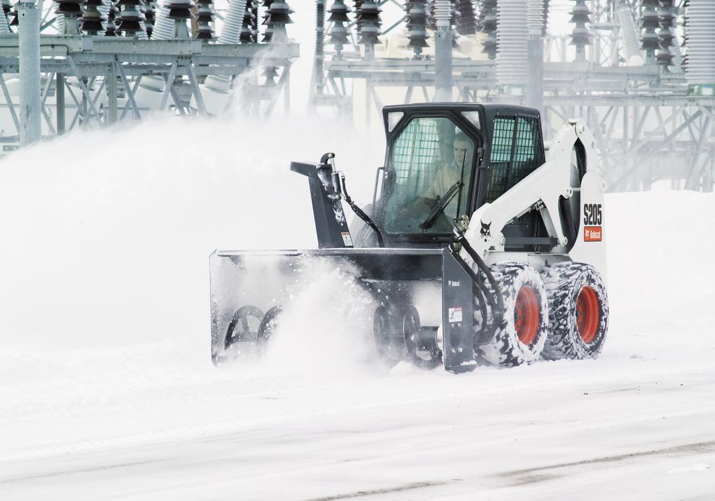 Every time it snows, I think of the bobcats...