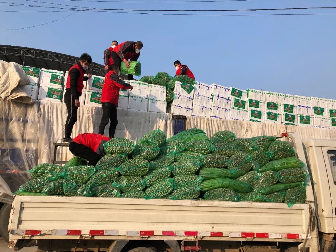 Wuhan, lingong group donated 150 tons of vegetables has been sent