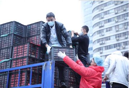 Linong group love vegetables sent to the 