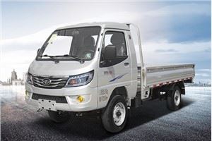 TKING 700 KG Light Truck Camion