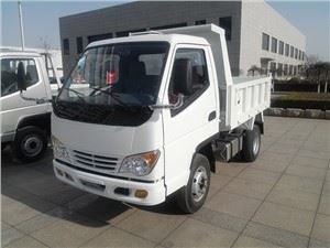 TKING 2 Ton Dump Truck Camion