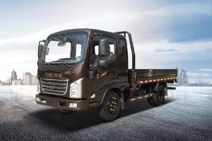 TKING 3 Ton Truck Camion
