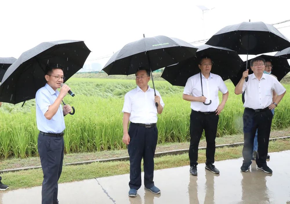 Tang Renjian and His Delegation Investigate Zhonglian Intelligent Agricultural Base