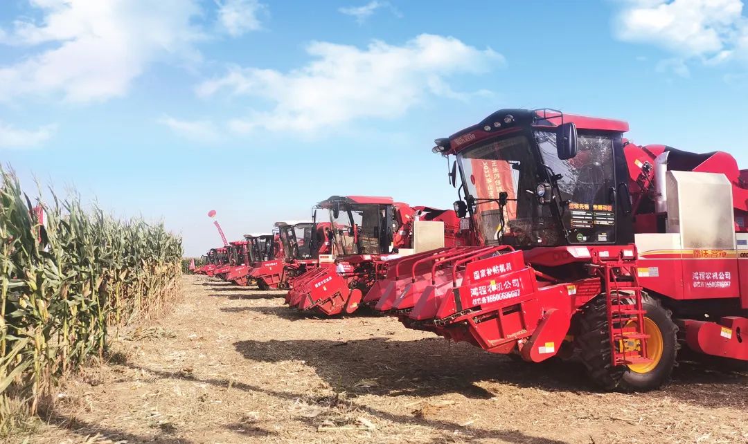 Intelligent Protection of Grain Safety | Promoting Corn Harvesting by Machine to Reduce Weichai Lovol's Autumn Harvest "Bumper Harvest" Scenery