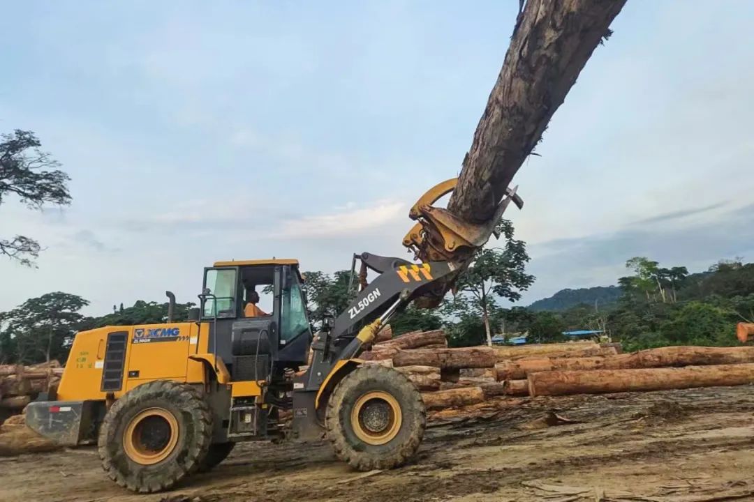 Explore the African Rainforest and See XCMG's "Hercules" Skillfully Transport Logs