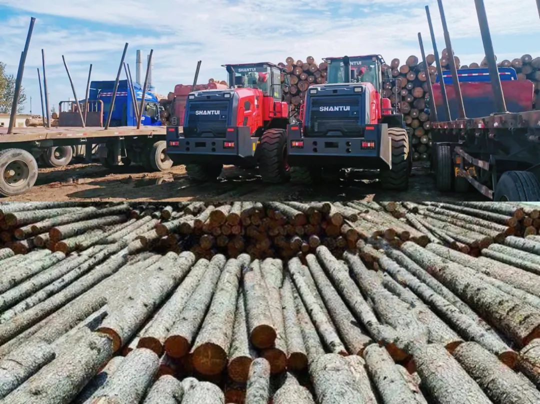 "Drill the bottom of the car and change the details" | Shantui Clamp Wooden Plate Loader, born for wood processing!