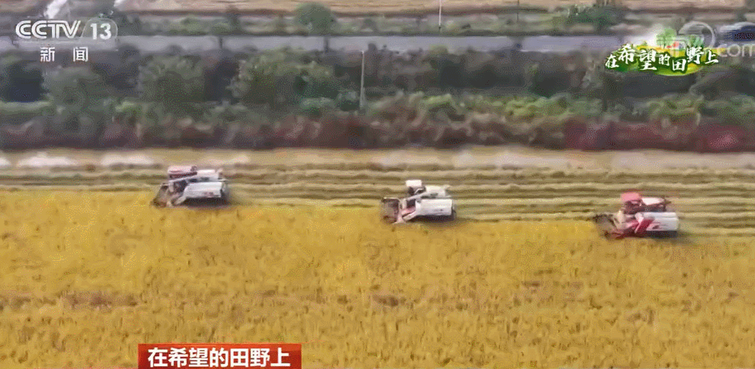 The First Brand of Agricultural Machinery Power Helps the National Autumn Harvest "Fengfeng" Scenery