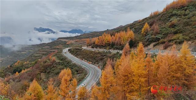 Longnan Highway Development Center comprehensively carries out highway maintenance work in autumn and winter