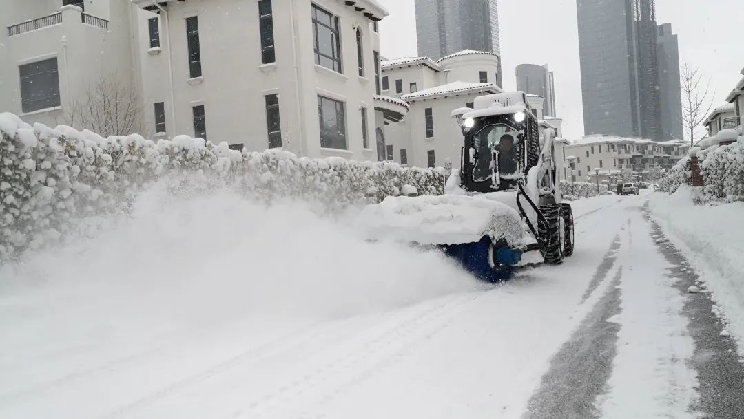 Lesser Snow is coming, Bobcat is coming!