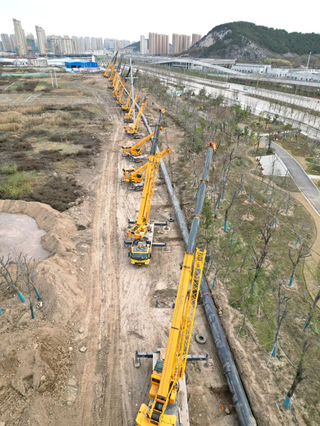 Lifting of 500m super-long pipeline! 20 XCMG Cranes Dazzle Together!