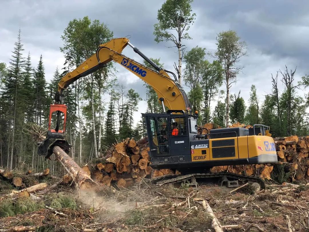 Your forest porter! Explore Xugonglin Dig in Canada