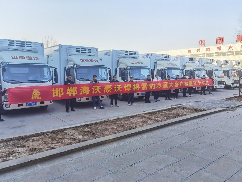 Sinotruk HOWO Light Truck Welcomes a Good Start, Hot Delivery Across the Country