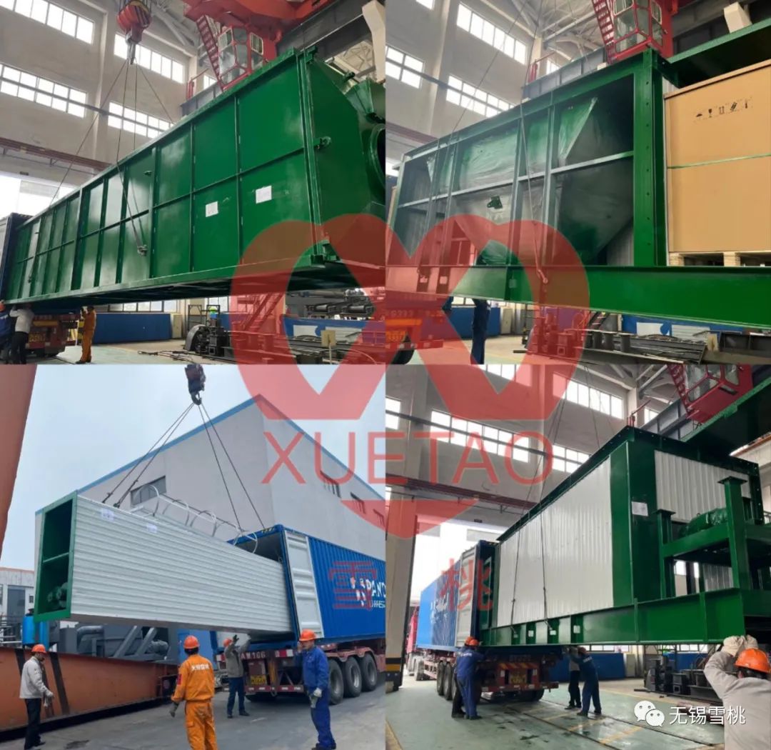 Wuxi Snow Peach: Skilled in Craftsmanship, Sincere in Action