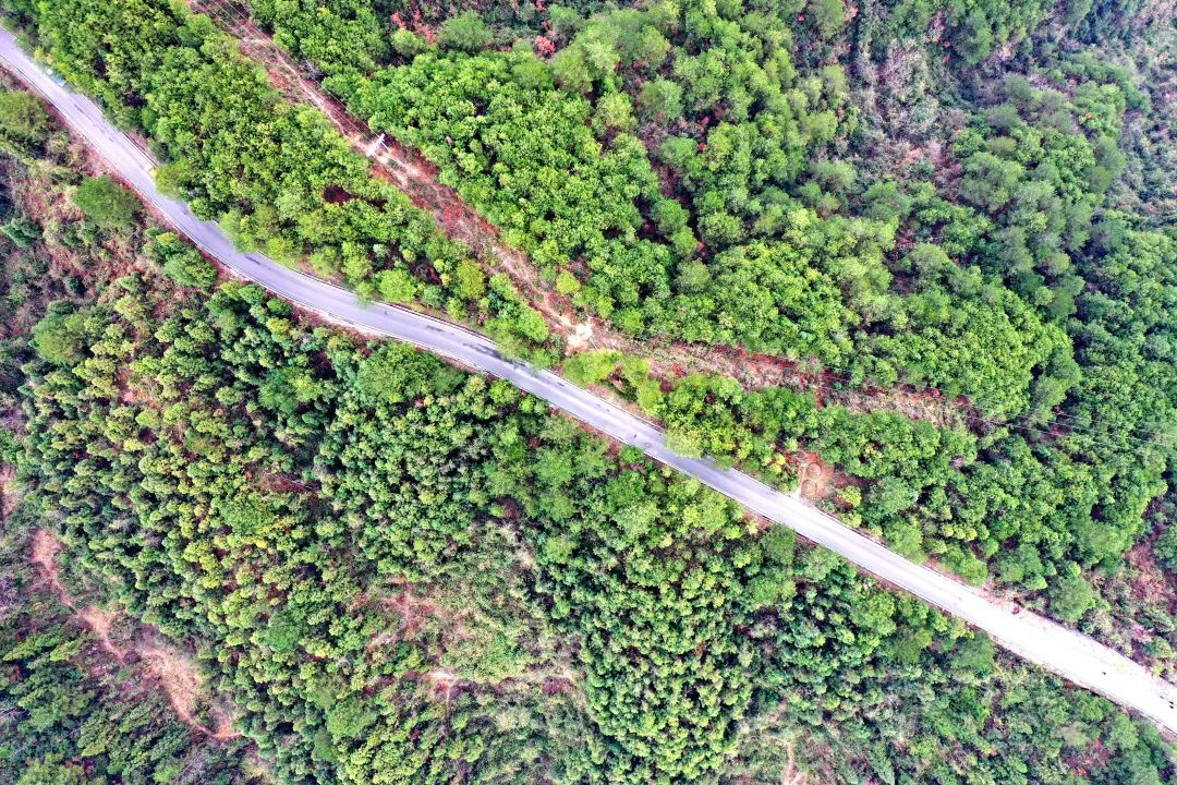 More than 2000 kilometers of rural roads in Yuqing "change the old appearance into a new one"
