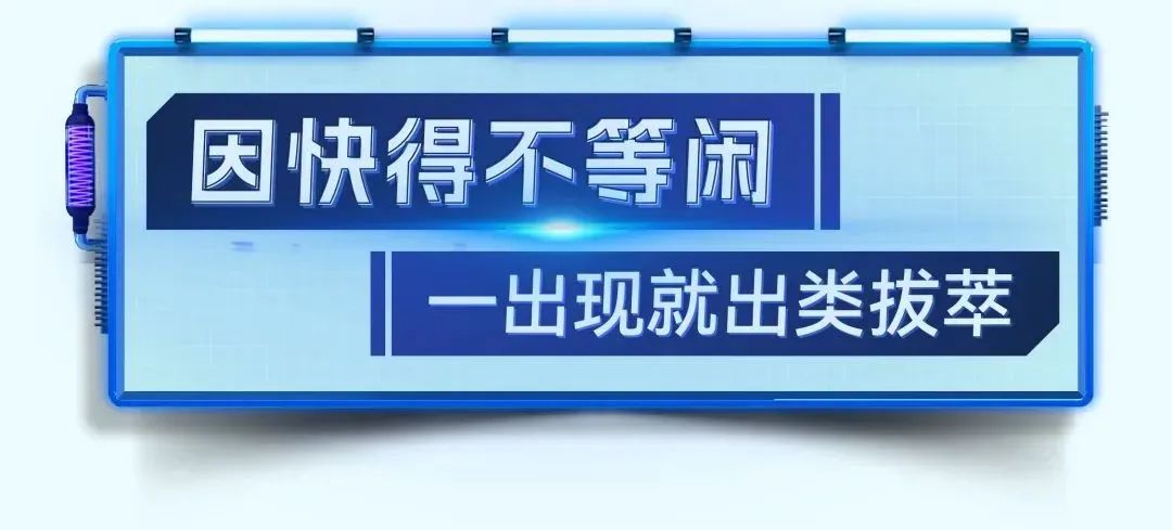 Land King | WP15NG Runs Xinjiang Special Line Easily