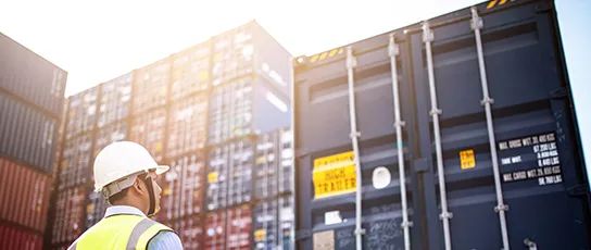 Hester: Jointly Build a Green Low-Carbon Port to Achieve the Goal of Sustainable Development