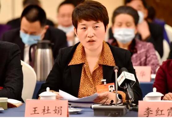 Wang Dujuan, deputy to the National People's Congress: It is suggested to implement a subsidy policy for electric products of construction machinery.