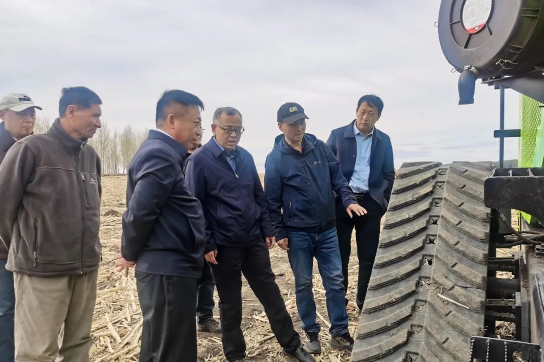 Dahe Xuangong Equipment Co., Ltd. successfully held a demonstration meeting on comprehensive soil preparation test of deep ploughing and crushing scarifier