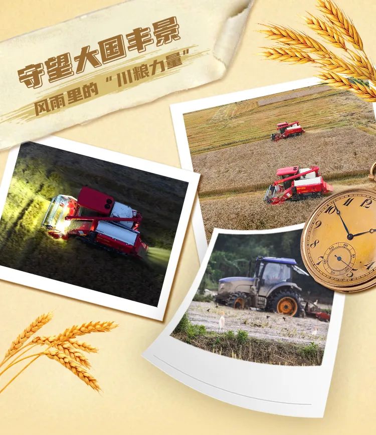 Revo: Watching the Prosperity of a Great Country | "Sichuan Grain Power" in the Wind and Rain