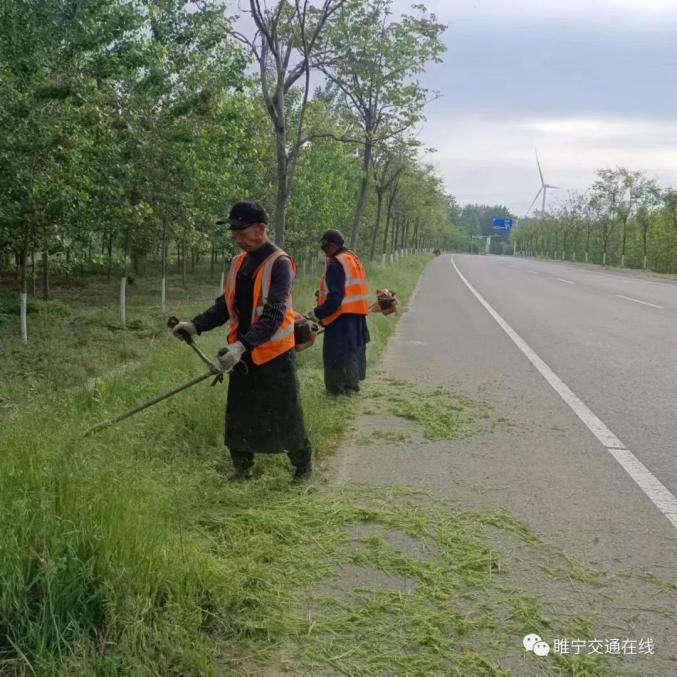 Suining Highway Maintenance Department: Pruning Tall Grass Along the Line to Eliminate Potential Safety Hazards