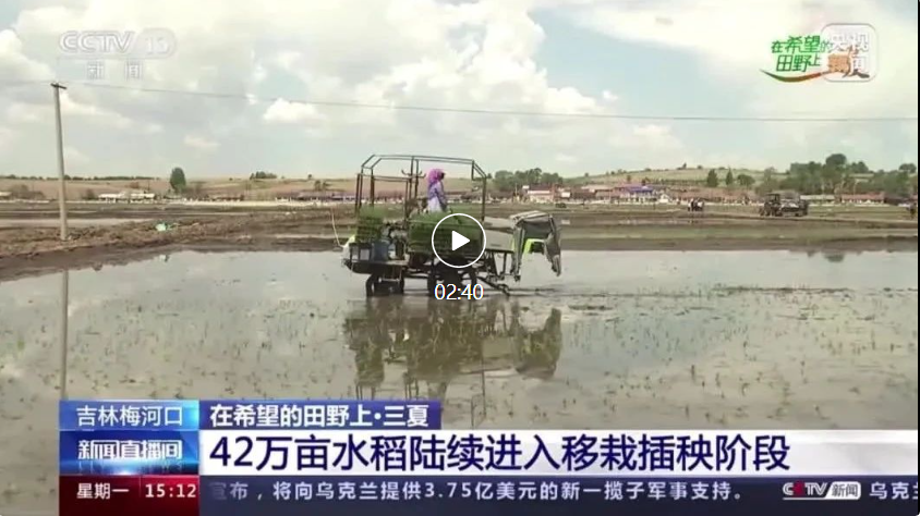 Zoomlion CCTV News Live Broadcast Room: Mechanical Seedling Throwing Shows Skills and Explores New Planting Methods