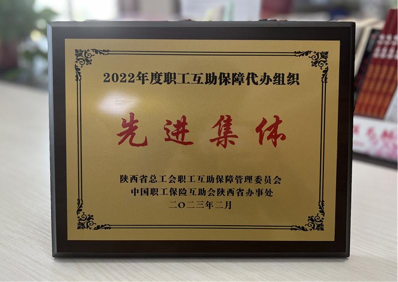 Shaanxi Construction Machinery Co., Ltd.: The company was awarded the title of "Advanced Collective of Mutual Assistance and Security Work for Employees in the Province"