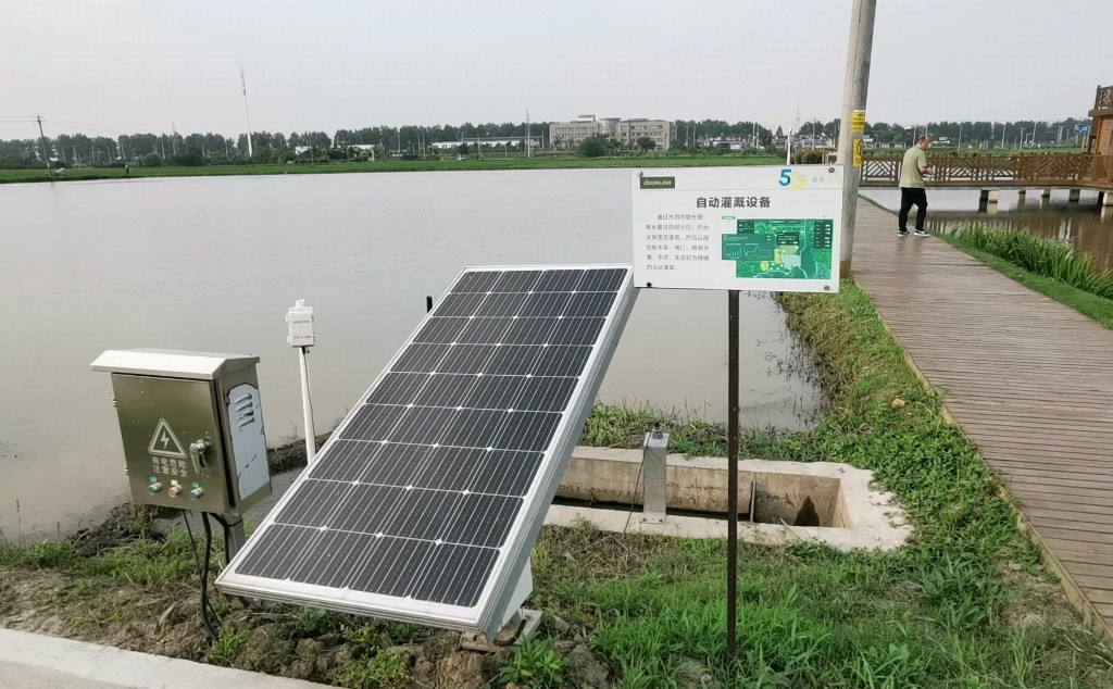 Publicity Department of the CPC Central Committee "High-quality Development Research Bank" Interview Group Enters Eqiao Base of Zhonglian Intelligent Agriculture