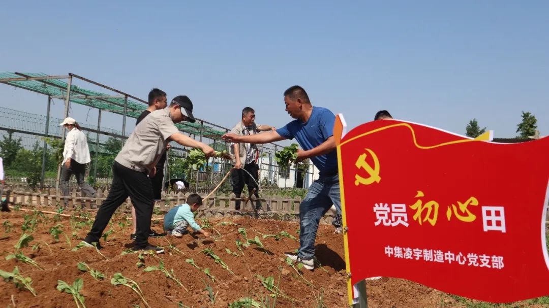 CIMC Lingyu Party Committee planted a good party member's "first heart field" to help the new development of the countryside!