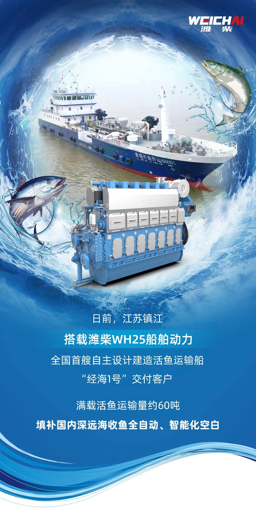 Power from Weichai! Delivery of the first live fish carrier independently designed and built in China