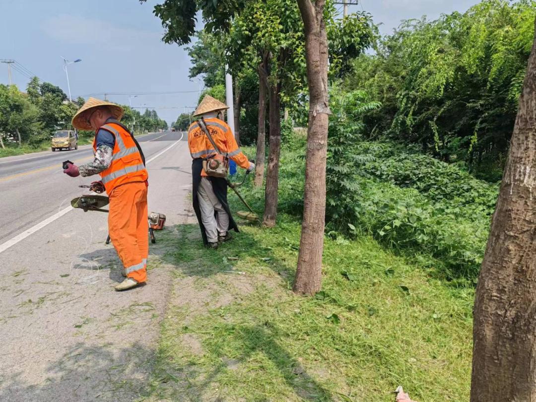 Jiawang Highway Station Strengthens Highway Maintenance in Autumn to Escort People's Safe Travel