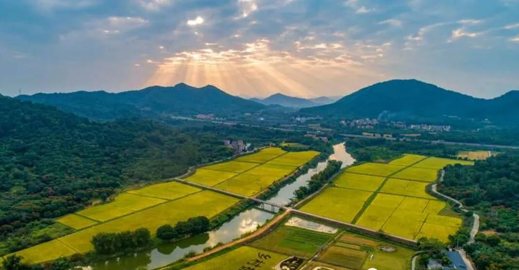 Lingyu Auto: To help build beautiful countryside, TA's strength is beyond doubt!