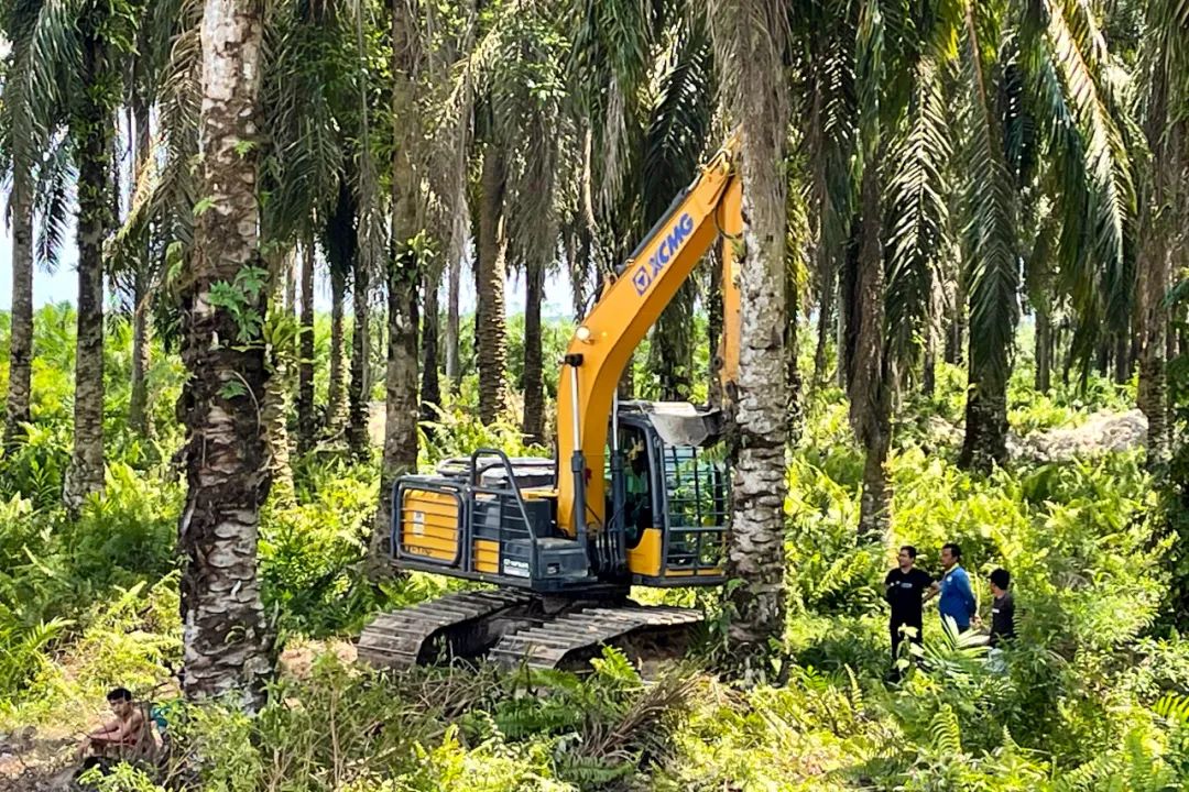 Silk Road Shining ⑥ XCMG Special Excavation Helps New Development of Indonesian Rainforest