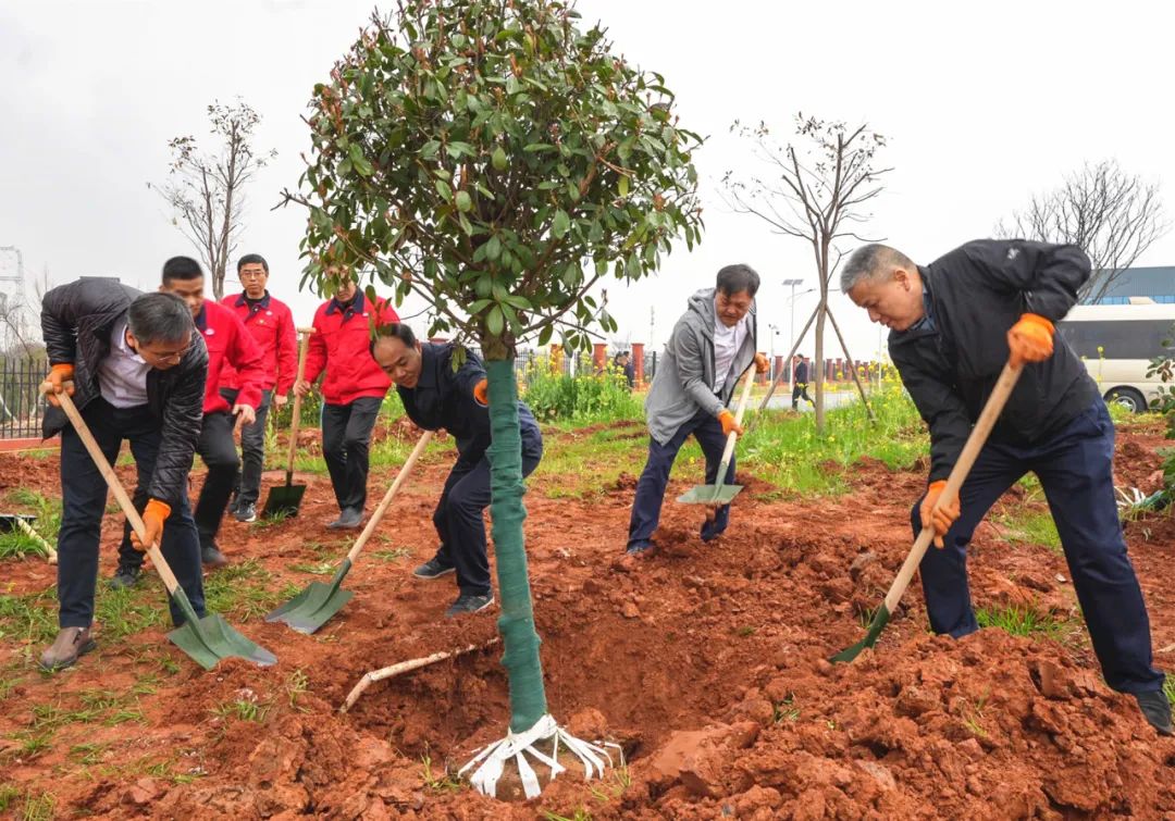 "Planting" This Green to Spring Mountain | China Railway Construction Heavy Industry Organizes the Activity of "China Railway Construction Employees Planting Trees"