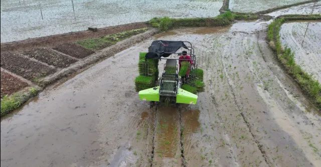 Media Focus | Hunan Daily: Zoomlion Agricultural Machinery "Dark Horse" Runs