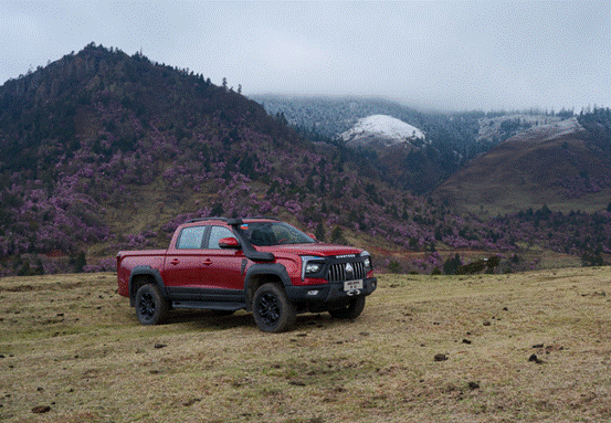 Sinotruk Pickup Makes the Best Diesel Pickup for Users