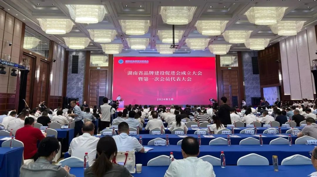 Hunan Brand Building Promotion Association was established! Sany Xiang Wenbo was elected as the first rotating chairman