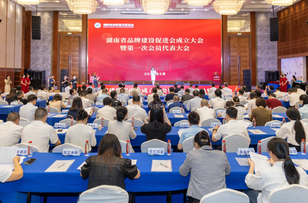 Hunan Brand Building Promotion Association was established, and Zoomlion was elected as the vice chairman unit.