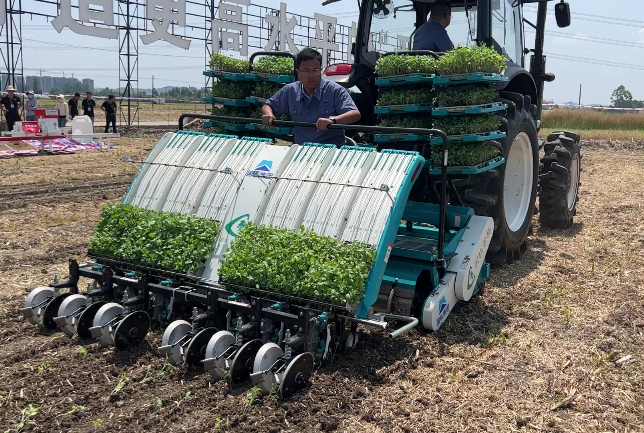 Several Rape Transplanting and Harvesting Equipments of Changlin Company Appeared in the Field Demonstration Activity of Whole Mechanization of Raising Unit Yield of National Bulk Oil Crops in 2024