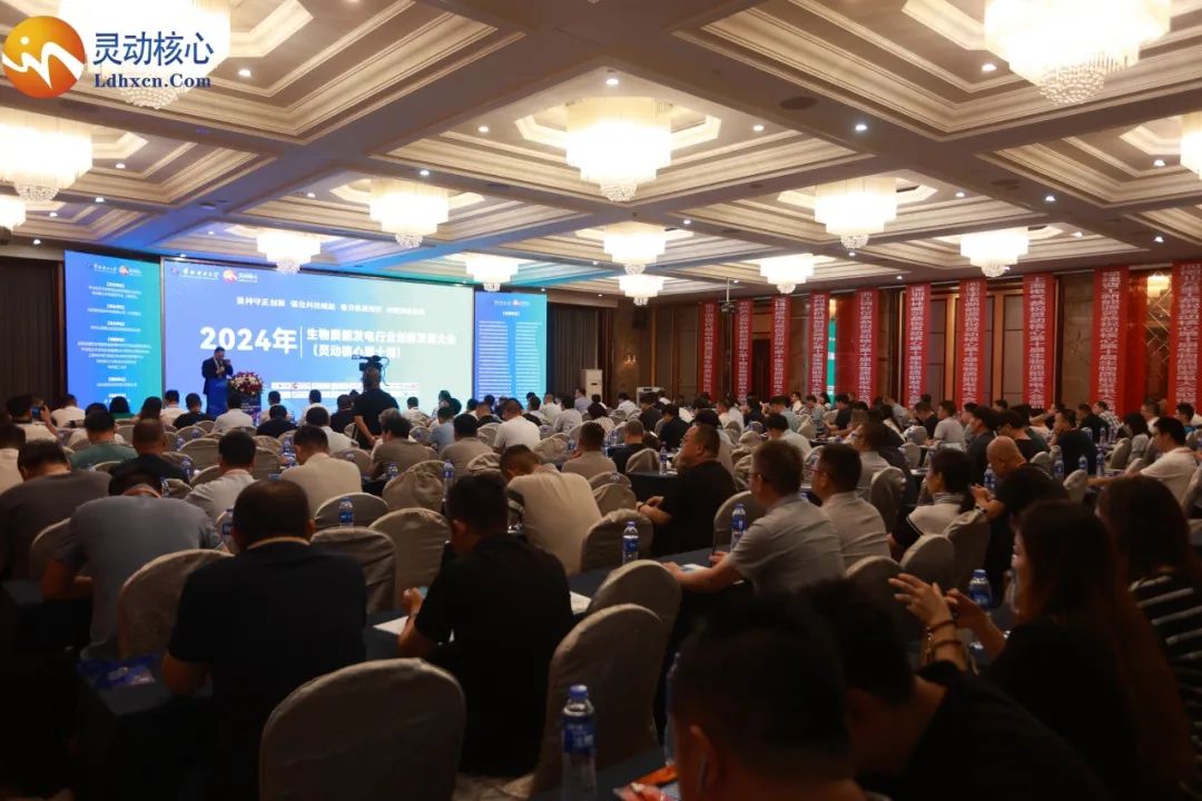 Jingong New Energy attended the "Biomass Power Generation Industry Innovation and Development Conference" and shared the theme!