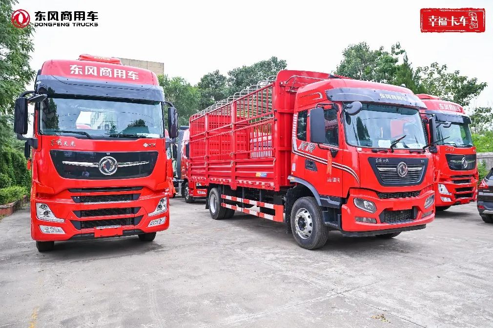 Xiguang Cold Chain Wu Wei: Dongfeng Is the First Choice for Gas Heavy Truck, Jointly Create a New Benchmark for Cold Chain Logistics