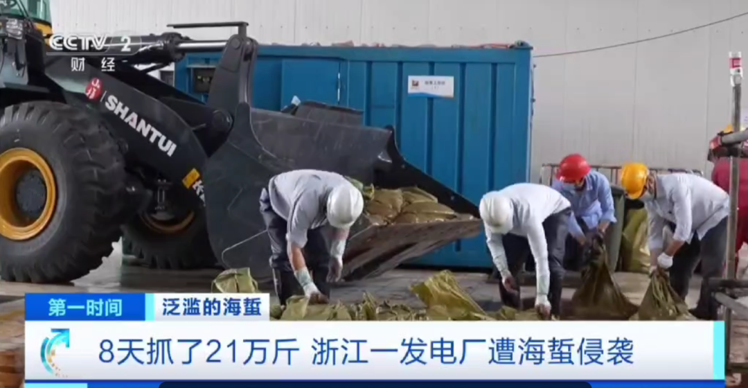 CCTV Focus: Shantui Helps a Power Plant in Zhejiang Win the "Pump House Defense War"!