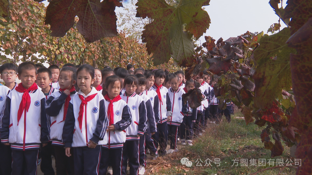 Teachers and Students of Haiyang Fangyuan School Visit and Study at the Labor Practice Base of Jinding Winery of Fangyuan Group